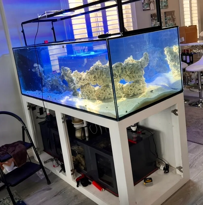 Custom Reef Installation - Before